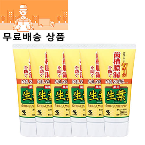 쇼우요우치약-구취,미백 약용치약 허브민트 100g 6개 셋트