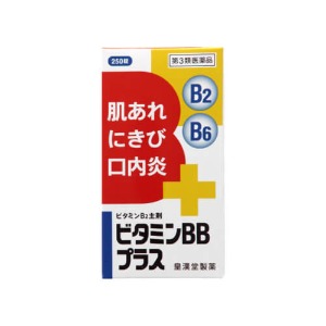 비타민BB 플러스 250정 [의약품]